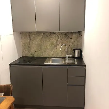 Seeapartment Am Hallstaetter